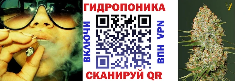 магазин продажи наркотиков  Хилок  shop какой сайт  МАРИХУАНА конопля 